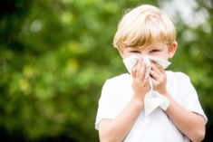 Les Allergies Respiratoires Du Printemps Toutroule