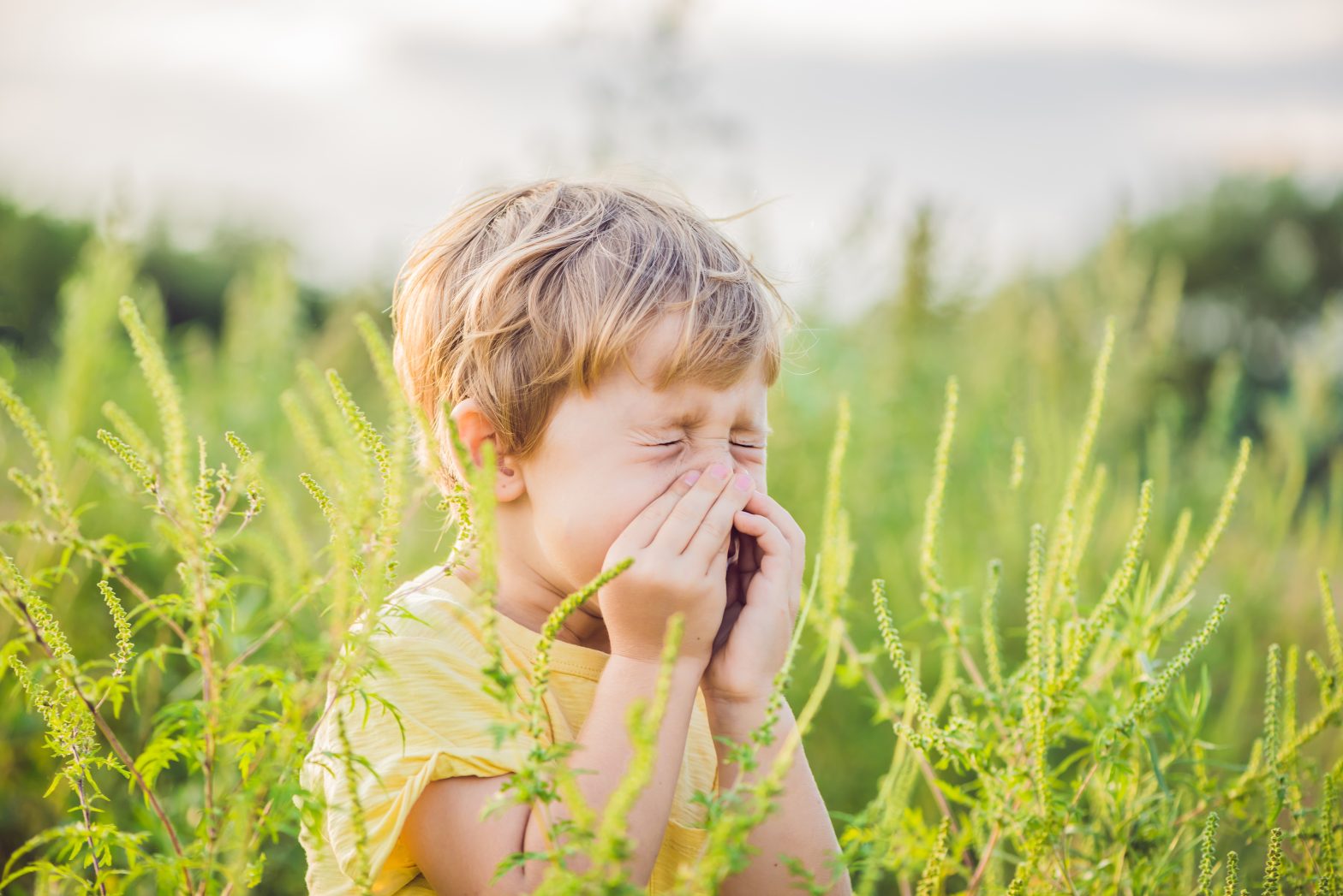 Comment lutter contre les allergies saisonnières ?